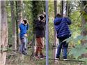 Veranstaltungsbild Wir durchklettern gemeinsam einen mobilen Niedrigseilgarten!
